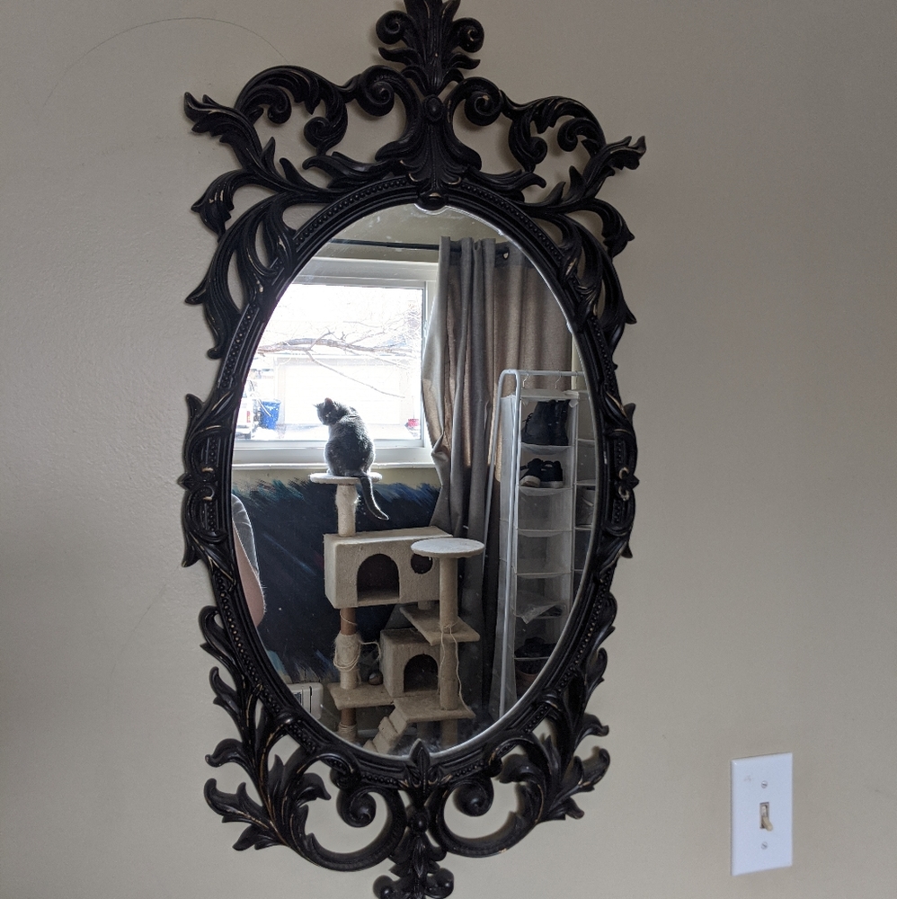 Black and Gold Decorative Mirror